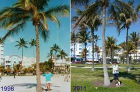 1998 - 2011 - miami beach_ozeandrive_003.jpg