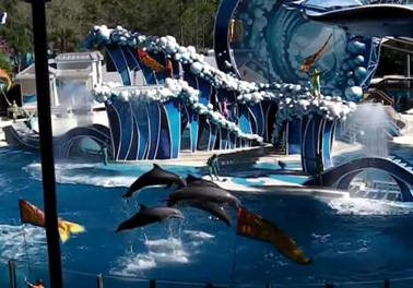 SeaWorld Delfin Show Februar 2013.jpg